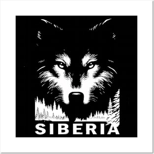 Siberian wolf Posters and Art